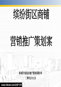 房地产营销策划-缤纷街区商铺营销推广策划案