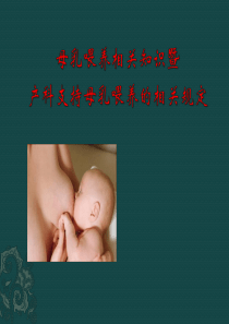 母乳喂养相关知识暨产科促进母乳喂养的规定