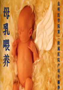 母乳喂养课件妈妈班.ppt20090130