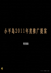 维美机构小平岛XX年度推广提案