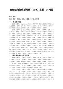 自组织神经网络求解TSP问题