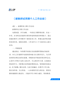 新教师试用期个人工作总结