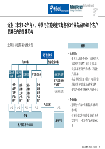 罗兰贝格中国电信品牌策划Feb25三稿-3