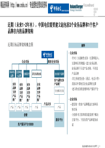 罗兰贝格中国电信品牌策划三稿-3(1)