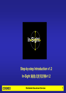 中文-In-Sight-使用详解-(全)