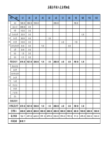 全年收支明细表