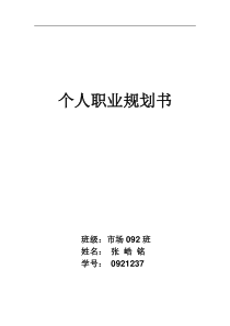 大学生市场营销专业职业生涯规划书