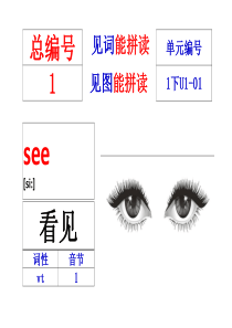 一年级下册单词音标卡