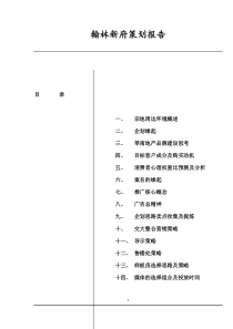 翰林新府策划报告doc67(1)