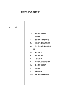 翰林新府策划报告（DOC 67页）