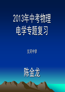 2013年中考物理电学专题复习