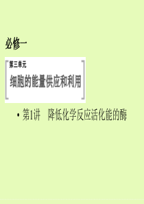 降低化学反应活化能的酶一轮复习