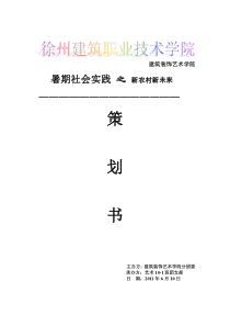 艺术10-1班关于新农村建设三下乡暑期社会实践策划书模板