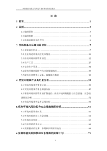 化学合成制药厂风险评估报告