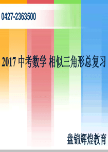 2017中考数学相似三角形总复习