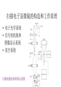 扫描电子显微镜的构造和工作原理