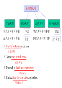 名词性从句-2010年专升本-英语复习