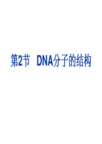 DNA分子的结构ppt