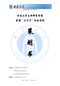 西南大学三下乡云南楚雄小分队活动策划