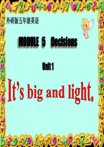 It-is--big--and--light-课件