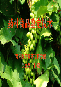 果实种子类药材