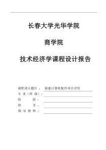 技术经济学课程设计报告模板