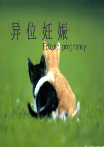 异位妊娠图