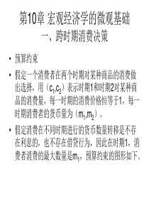 宏观经济学的微观基础