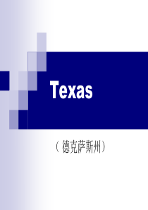 Texas(德克萨斯州)