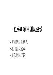 任务8 项目团队建设