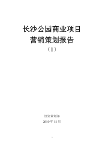 长沙公园商业项目营销策划报告