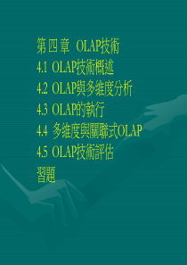 OLAP技术概述