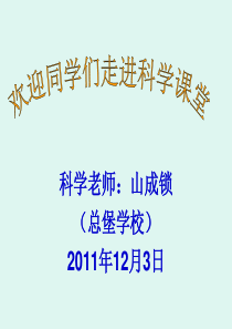 公开课科学四年级上课《身体的结构》课件