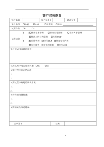 IT软件产品客户试用报告