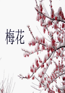 二年级《梅花》__ppt