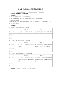 探究影响反应速率的因素的实验报告