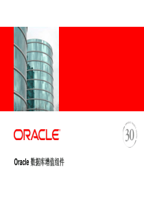 Oracle 数据库 11g 及 Oracle 数据库增值组件