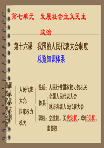 2011年高考政治一轮复习精品课件：第十六课 我国的人民代表大会制度