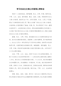 53学习社会主义核心价值观心得体会