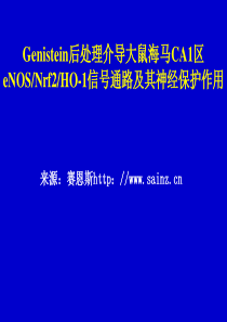 赛恩斯医学硕士毕业论文答辩幻灯参考