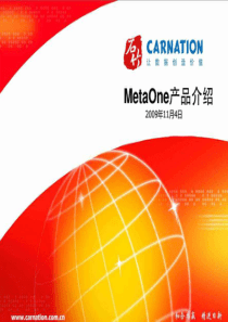 石竹元数据产品MetaOne介绍