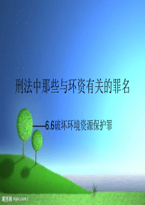 刑法中那些与环资有关的罪名-汪晴露概要