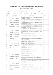 新员工试用期考核表