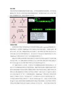 甲基化特异性PCR(MSP)原理及引物设计