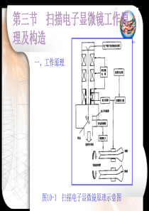 第二章3扫描电子显微镜工作原理及构造