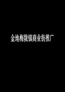 金地深圳龙华梅陇镇商业街整体形象定位及推广方案