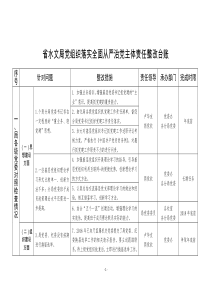 水文局党组织落实全面从严治党主体责任整改台账