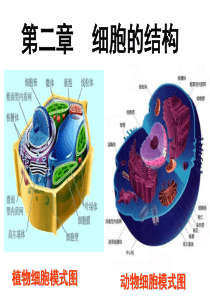 自作浙科版第二章--细胞的结构复习课课件