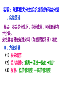 实验：观察根尖分生组织细胞的有丝分裂