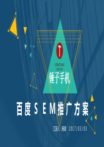 锤子手机—SEM推广方案